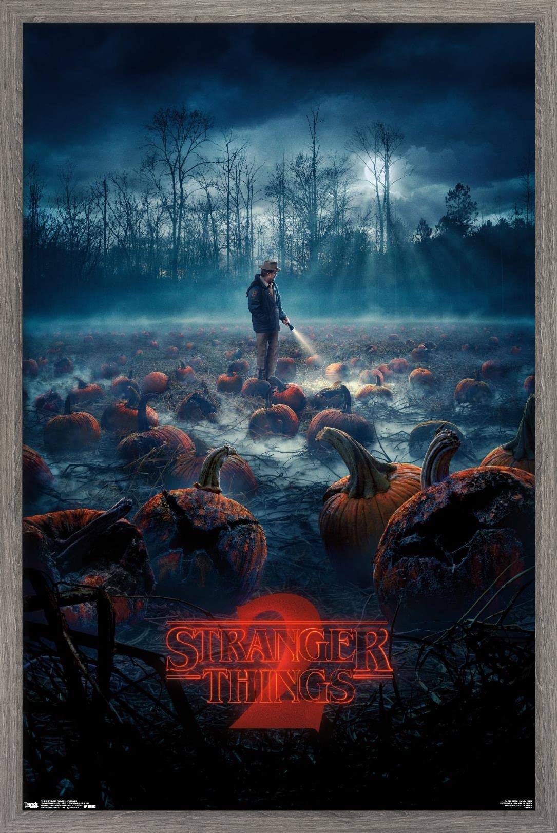 Amazon.com: Trends International Netflix Stranger Things: Season 2